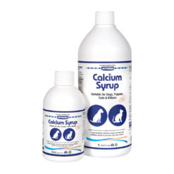 Vetsense Calcium Syrup